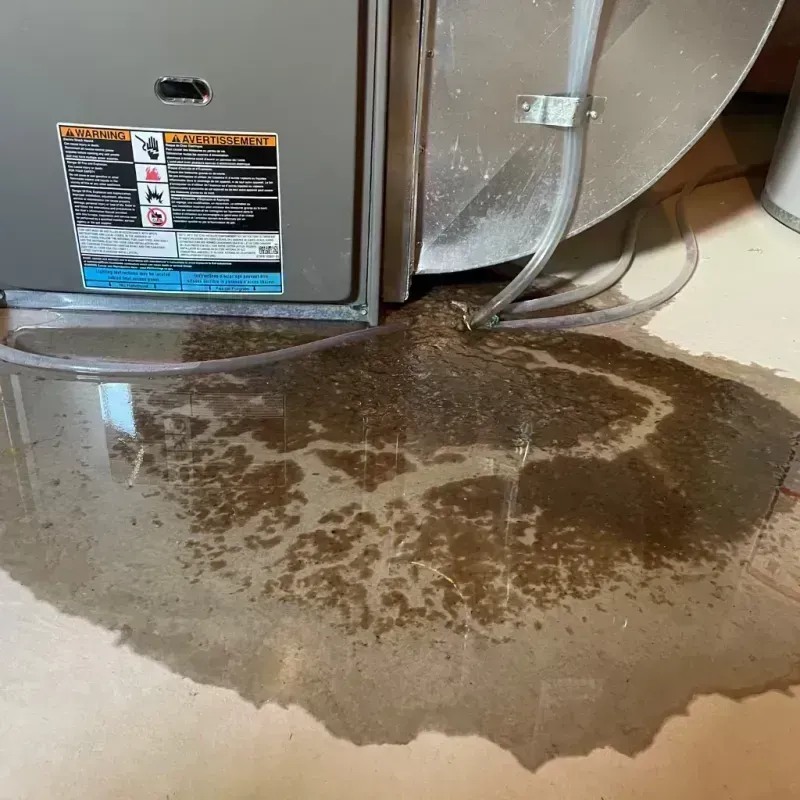 Appliance Leak Cleanup in Providence, UT